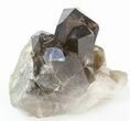 Smoky Quartz Crystal Cluster - Brazil #42028-4